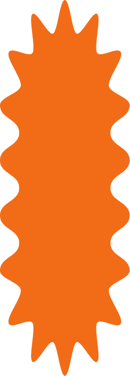 Shape