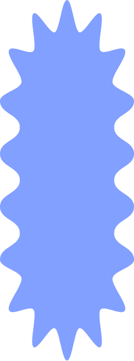 Shape
